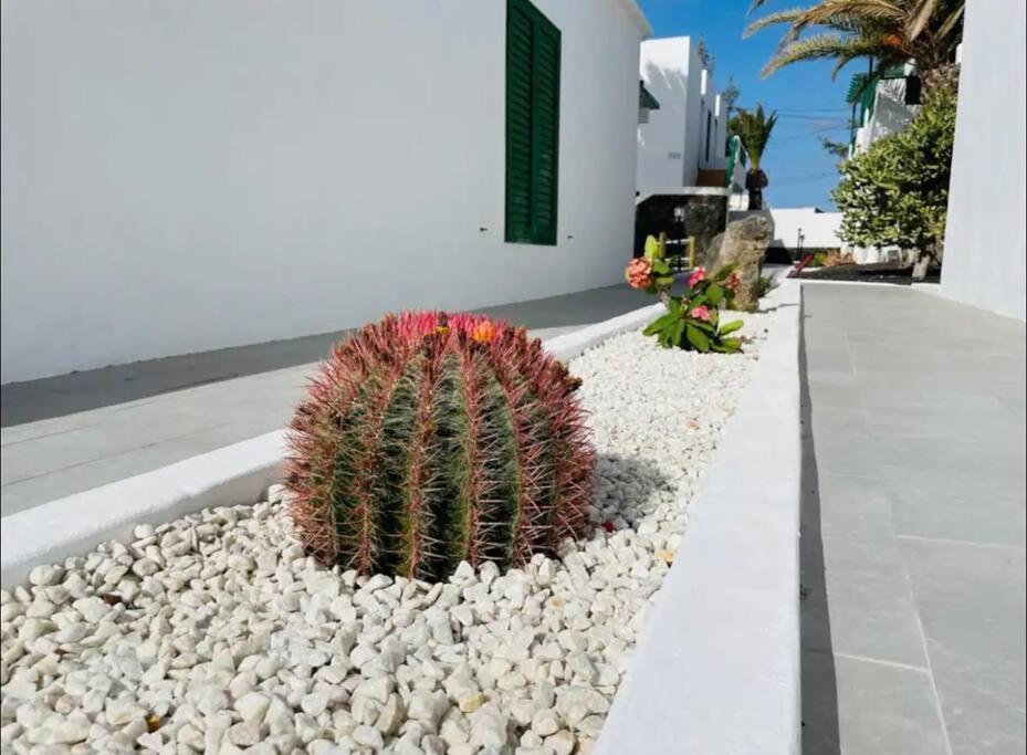 Refugio Del Caracol Lägenhet Puerto del Carmen  Exteriör bild